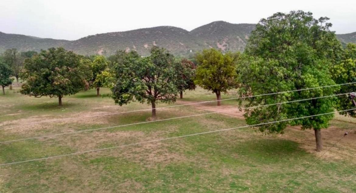 Green Vatika Farm Jaipur Buitenkant foto